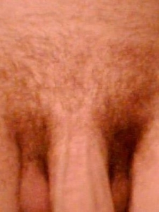 Silvio