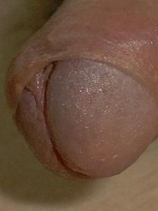 Lieven