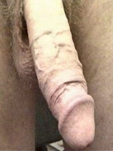 Pieter