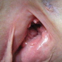 MandyCherry heeft zin in Neuken, Pijpen, Beffen, Orale Sex, Buitensex, Kontlikken, Gangbang, Vuistneuken, Parkeerplaats Sex, Vaginale Sex, Vingeren