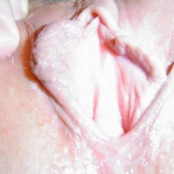 gratis neukdating met teddywoman1