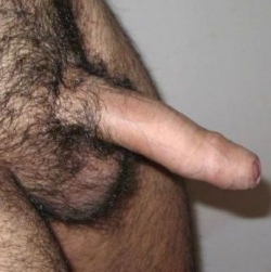 sexdating met zjorskus